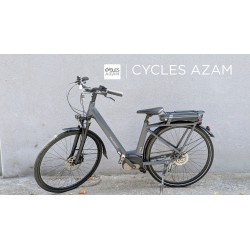 Peugeot eC01 - VAE occasion - M