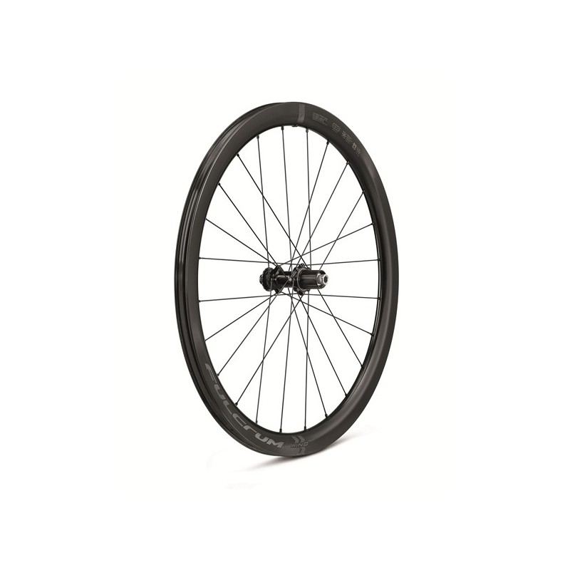 wind 42 disc roue ar  FULCRUM  AZAM_CYCLES