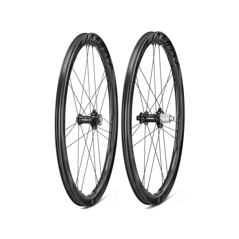 shamal dual disc paire  campagnolo  AZAM_CYCLES
